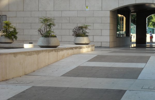 06_eventi/01-04_scalette_2008.jpg