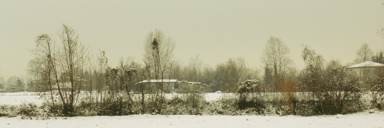 Neve nel 2007
