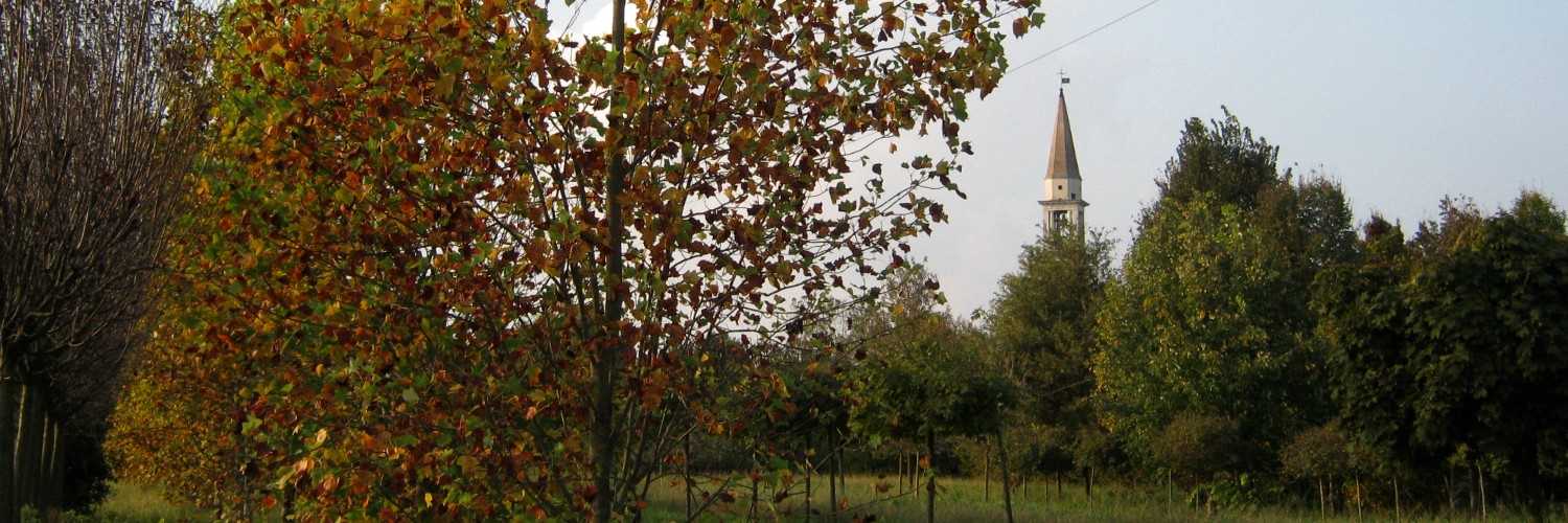 Autunno in campagna