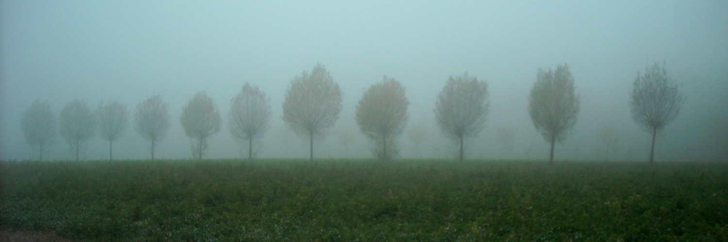 Nebbia d'autunno