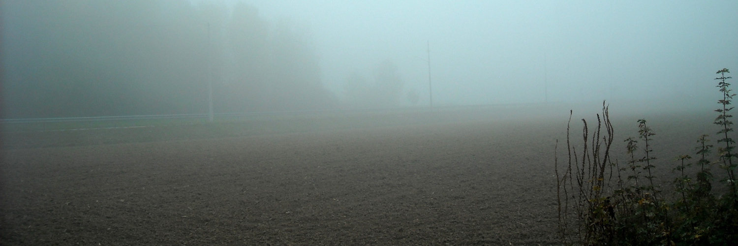 2015 Nebbia nei campi