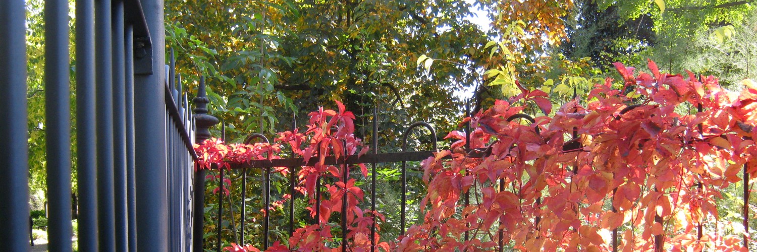 Coloritura di foglie