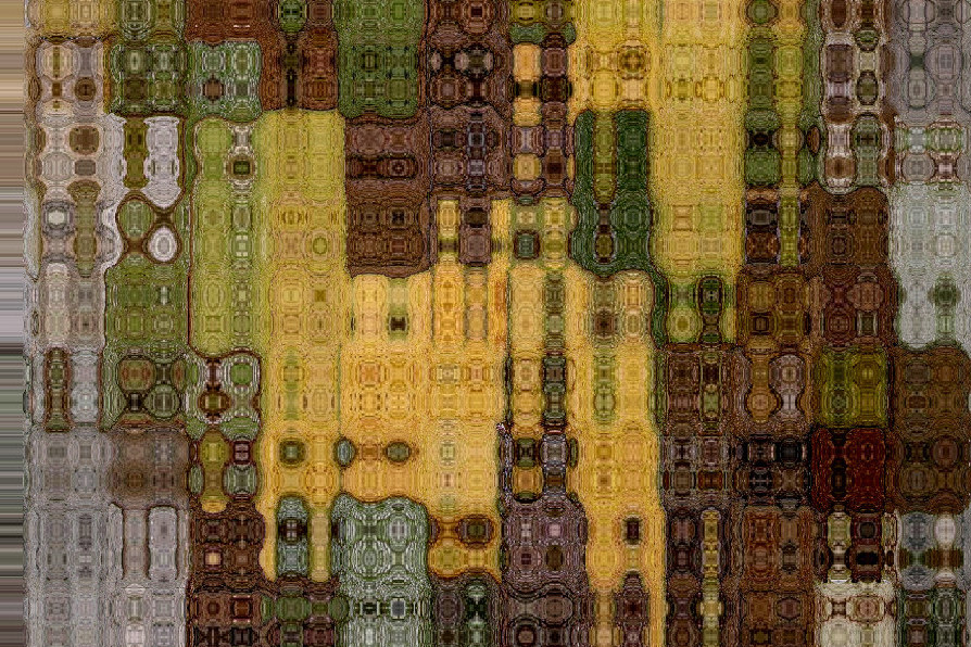 Scorza di platano