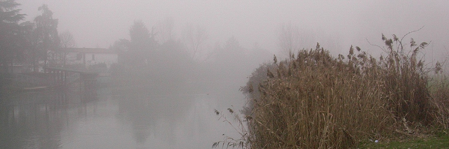 Nebbia sul Bacchiglione