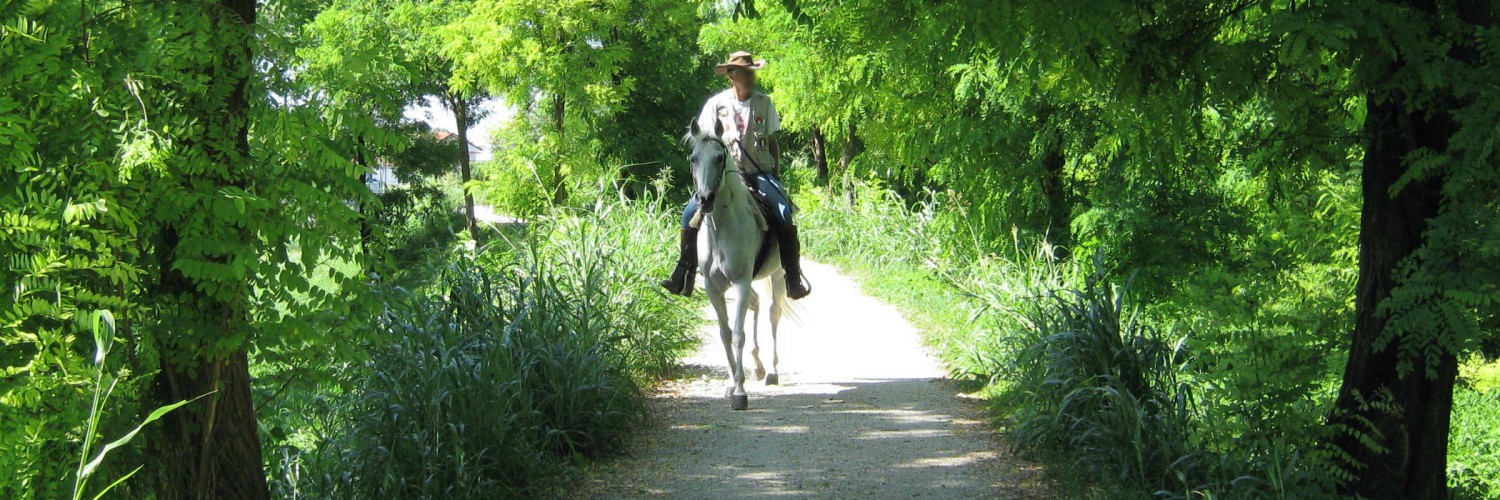 Un giorno un cavaliere