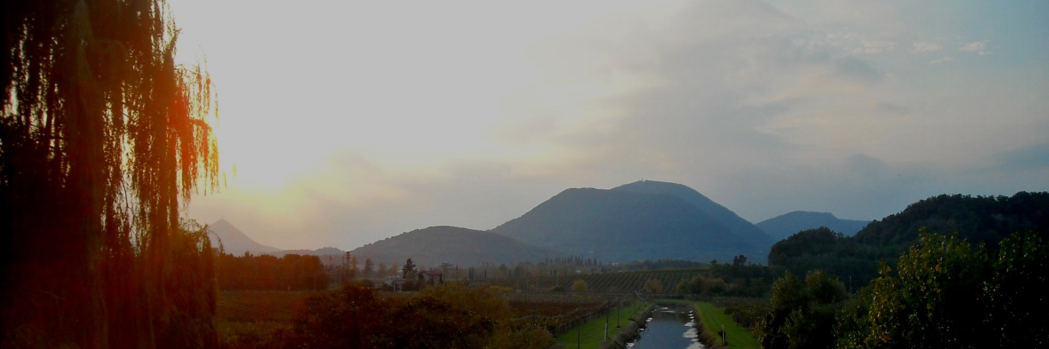 Al tramonto un salice Al tramonto un salice