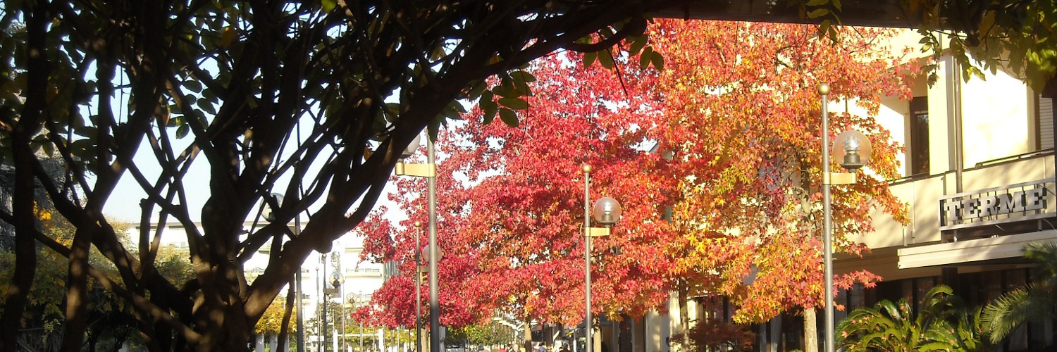 Cromatismi d'autunno Cromatismi d'autunno
