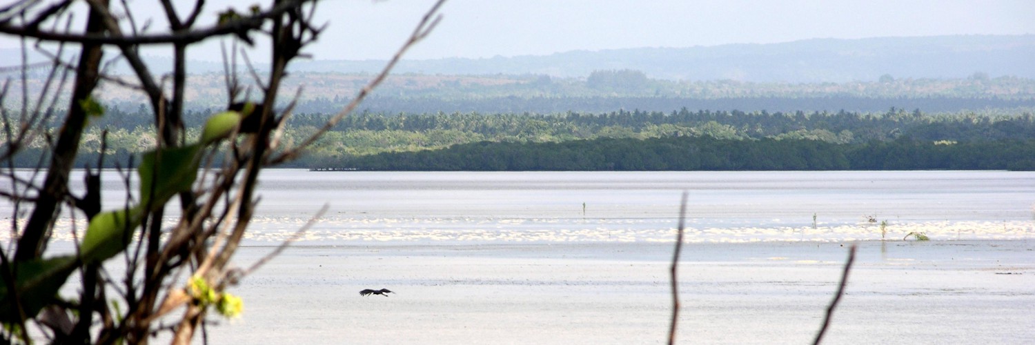 Isola di Chale, onde di marea