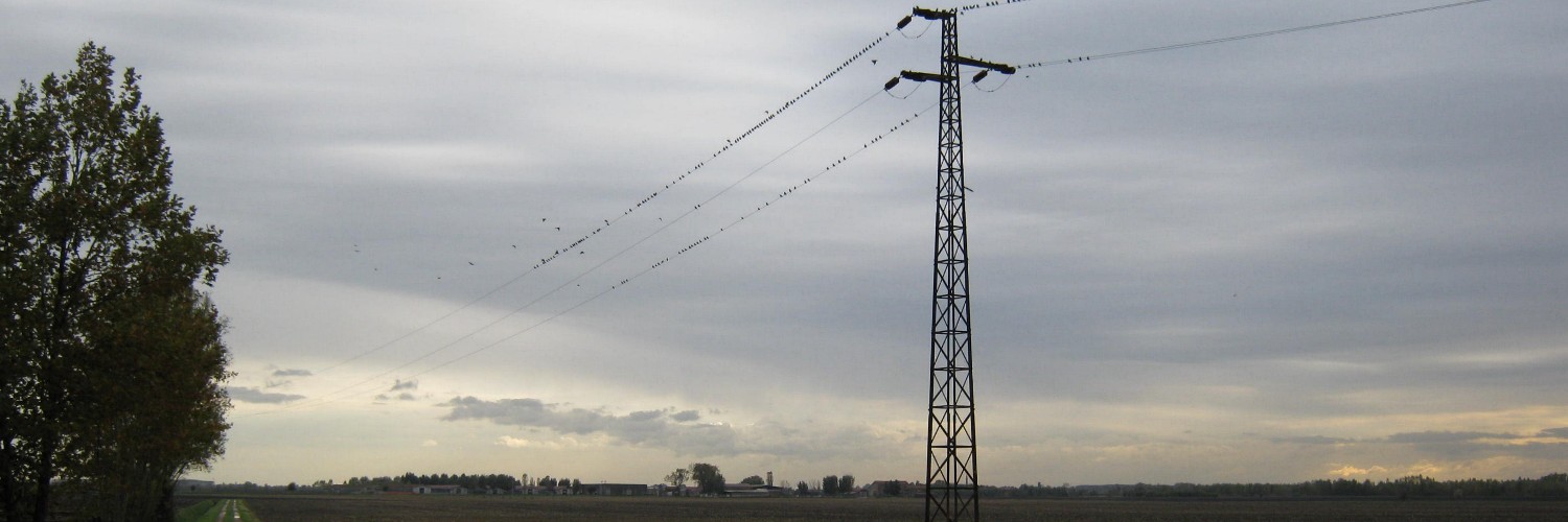 Linee di partenza