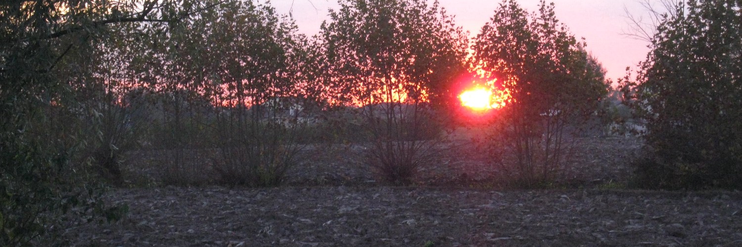 Al calar della notte Al calar della notte