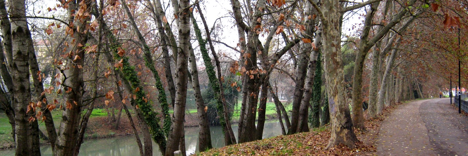 Verso l'inverno Verso l'inverno