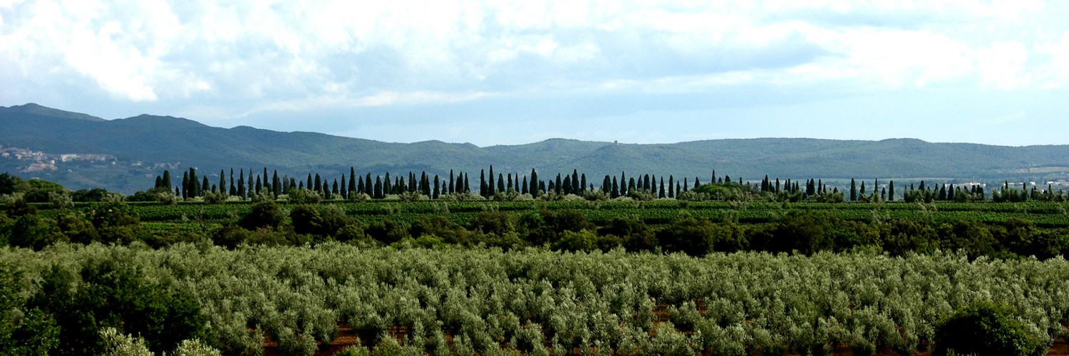 Campagna toscana