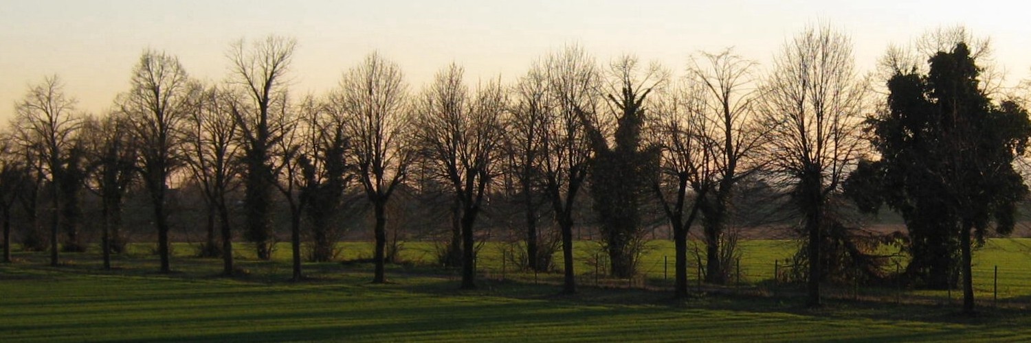 Ombre lunghe sul campo