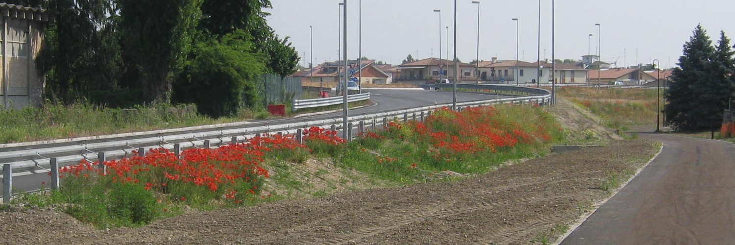 Papaveri prudenti Papaveri prudenti