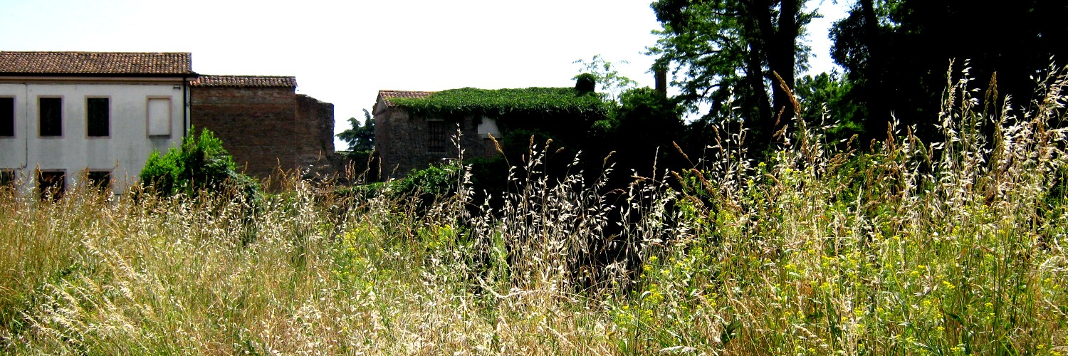 Nel silenzio d'estate...