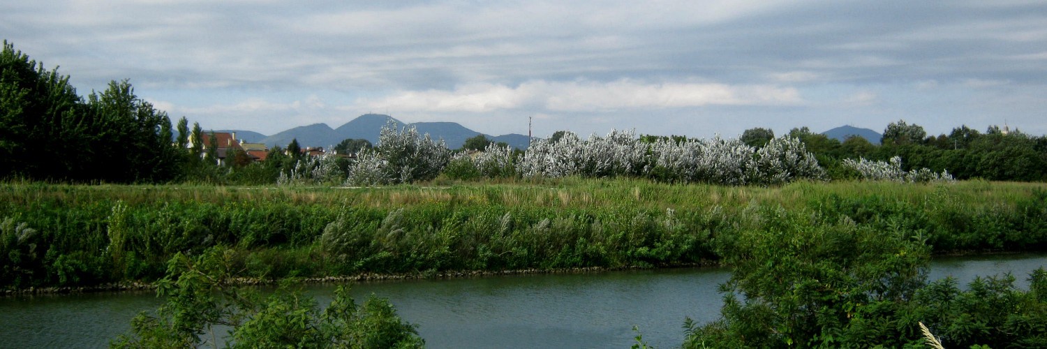 Uno sguardo verso i colli