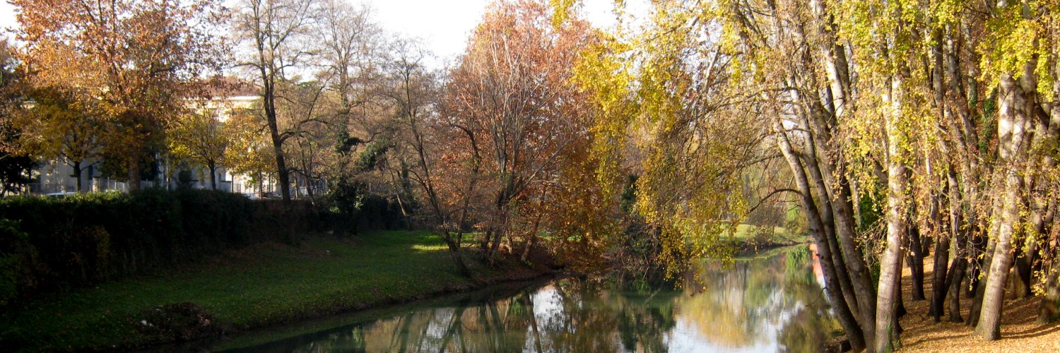 Rio alberato Rio alberato