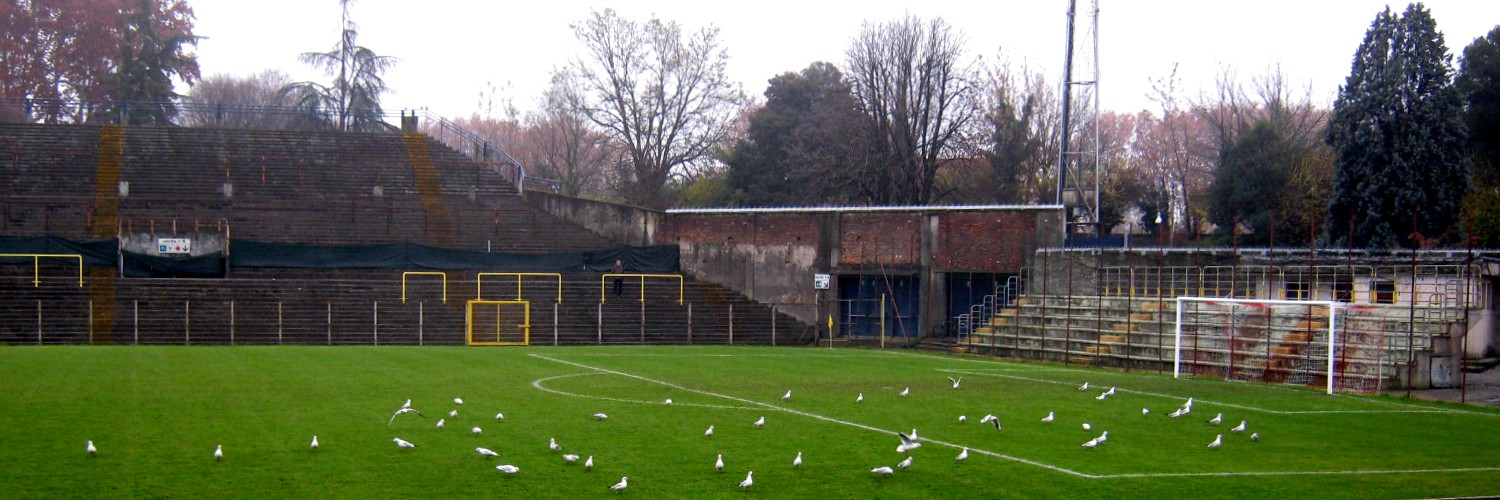 Gabbiani in campo