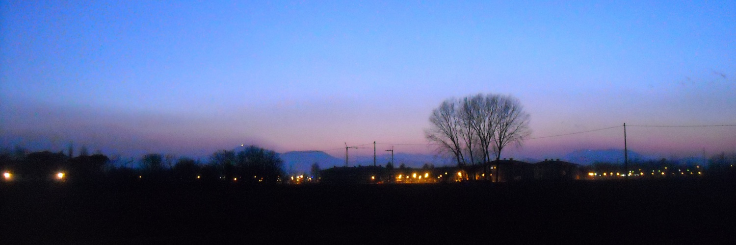 Crepuscolo con alberi