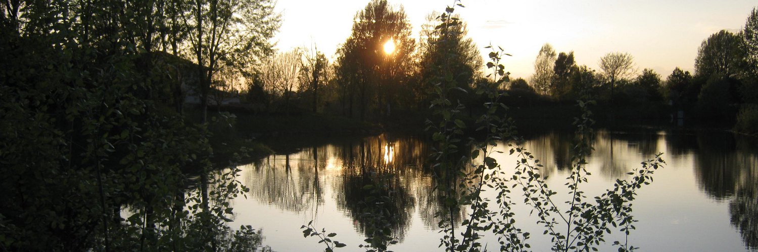 Sul lago argentato Sul lago argentato