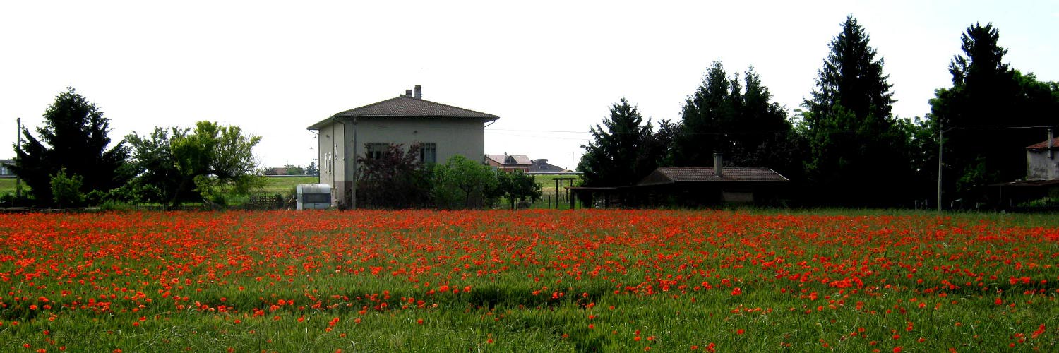 Mar rosso