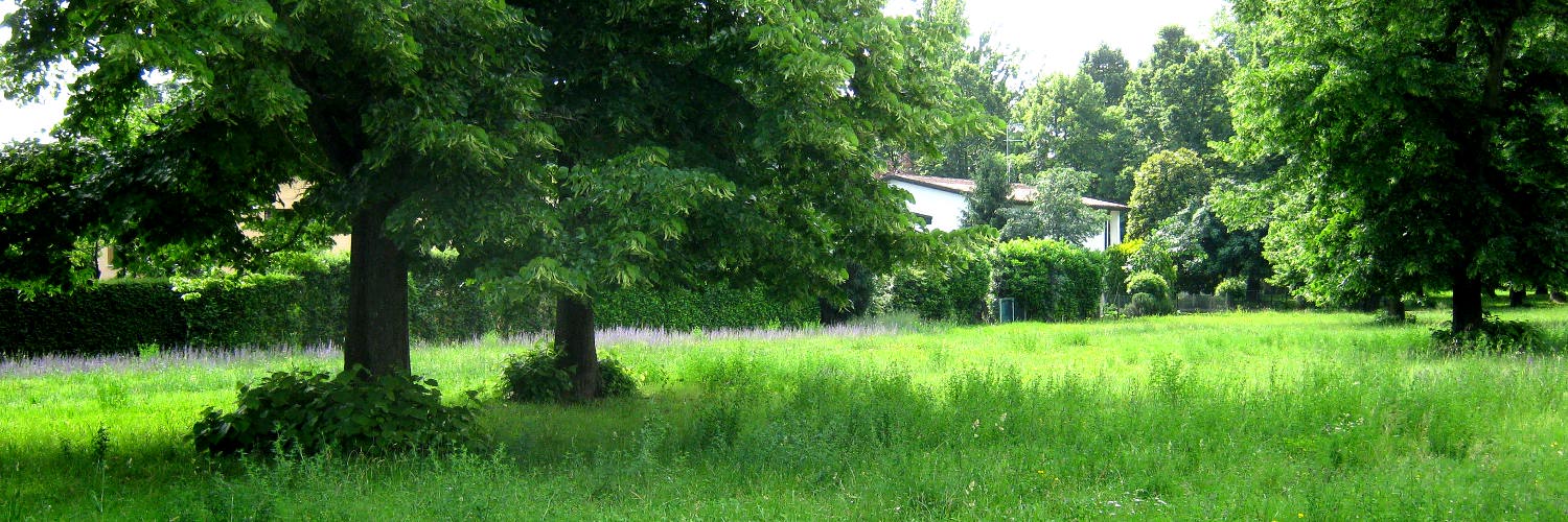 Sfumature di verde