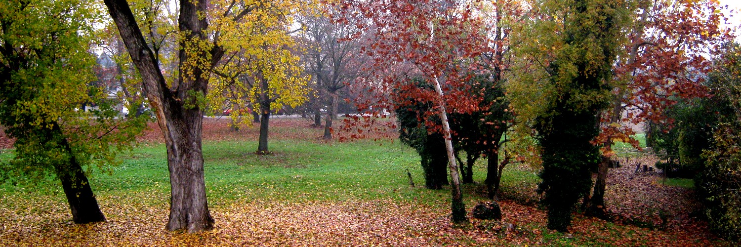 Rapsodia d'autunno