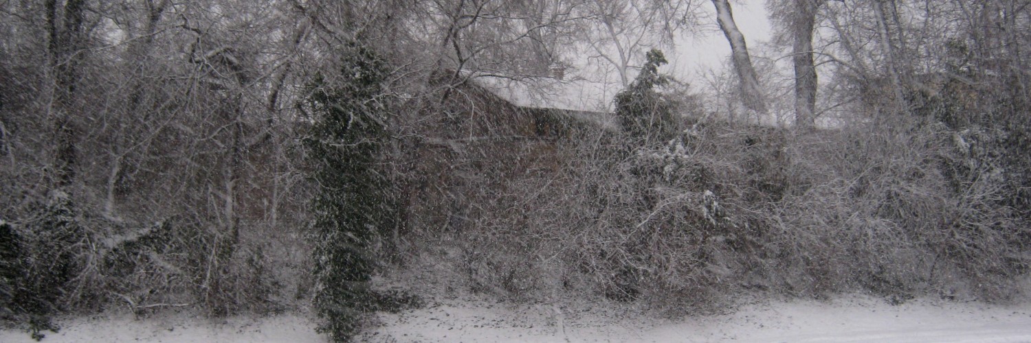 Sfumature della neve