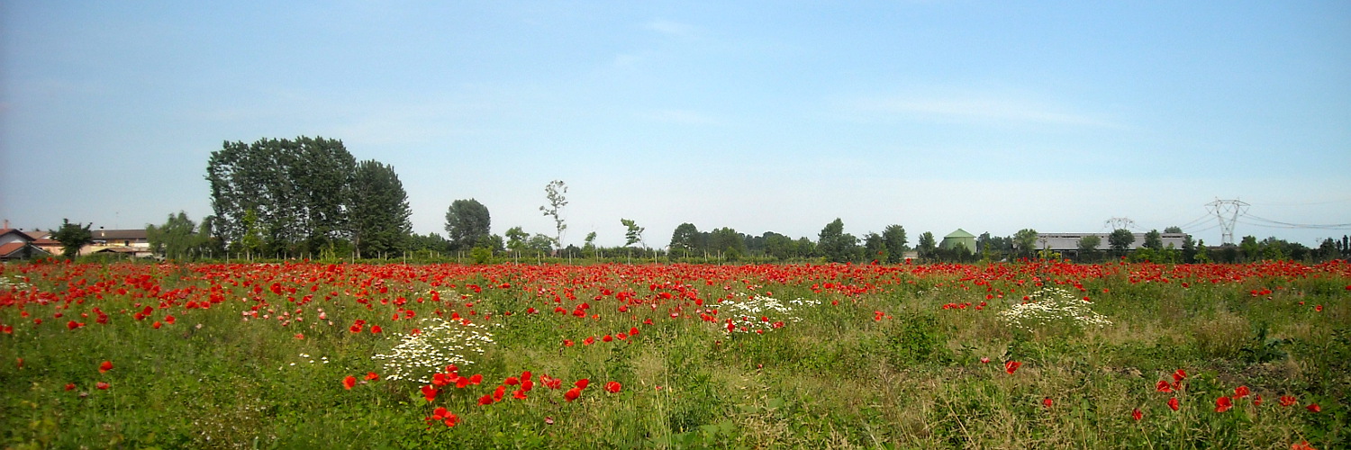 Bianco, rosso e verde