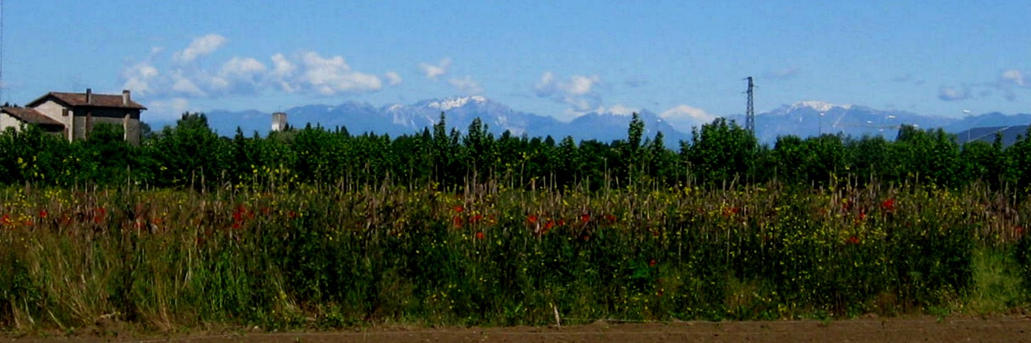 In lontananza