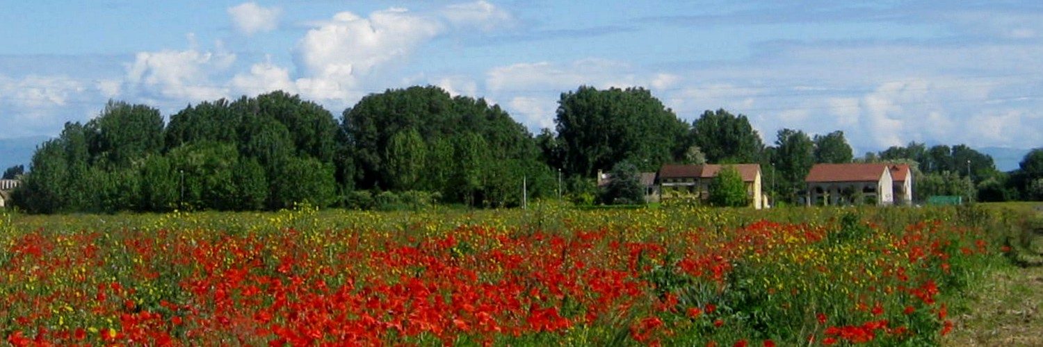 Colori di Maggio