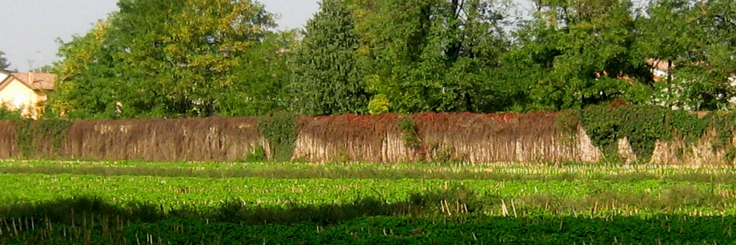 Bordo campo Bordo campo
