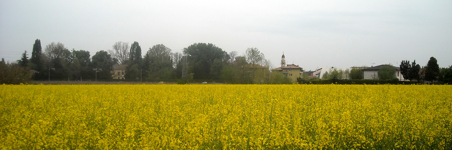 Mare giallo