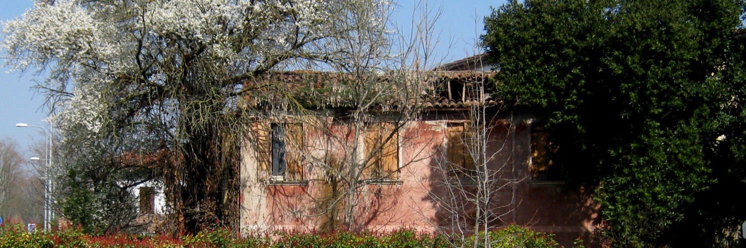 Colori di marzo Colori di marzo