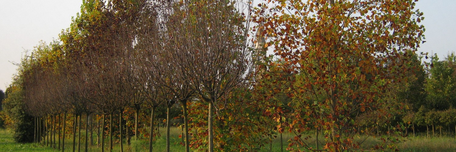 Cambio di stagione Cambio di stagione
