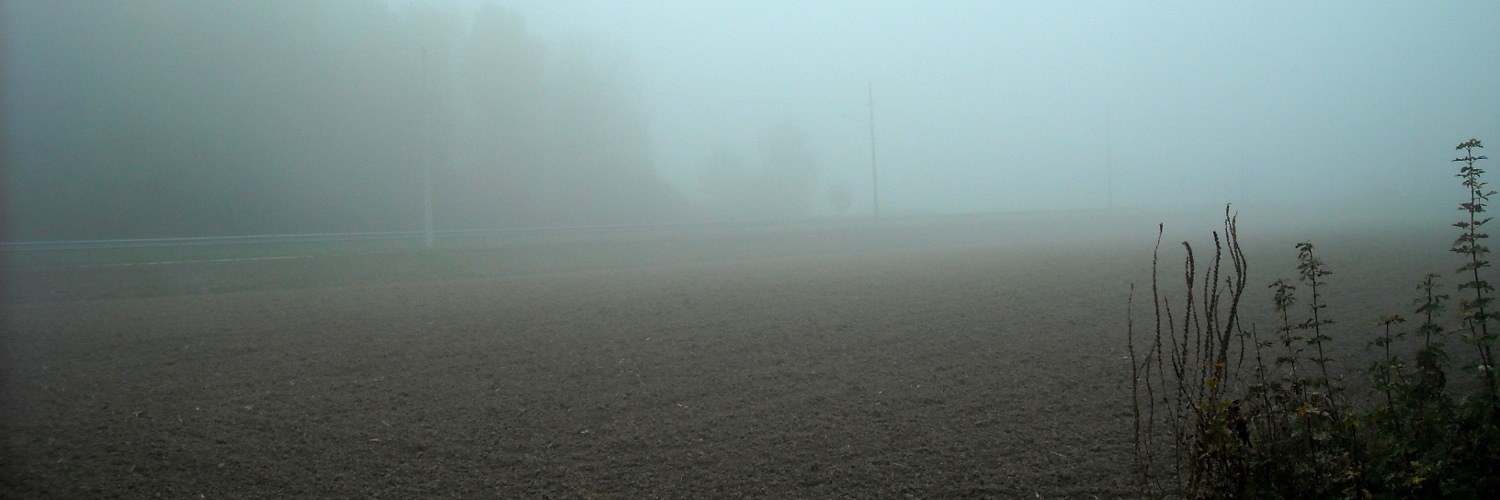 2015 Nebbia nei campi 2015 Nebbia nei campi