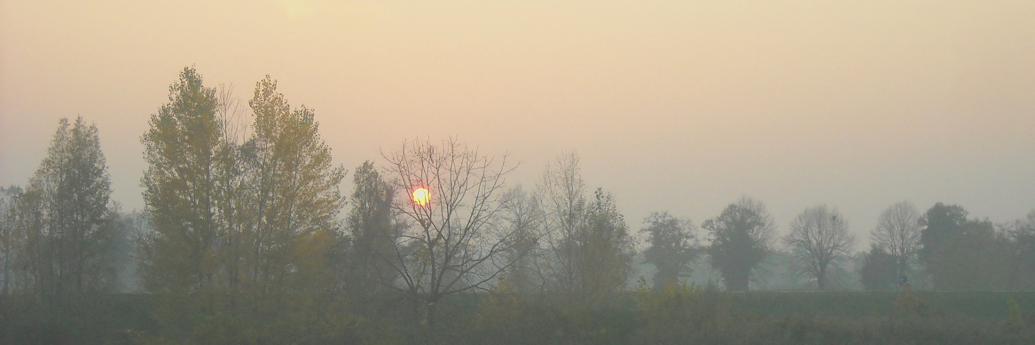 Nebbia al tramonto