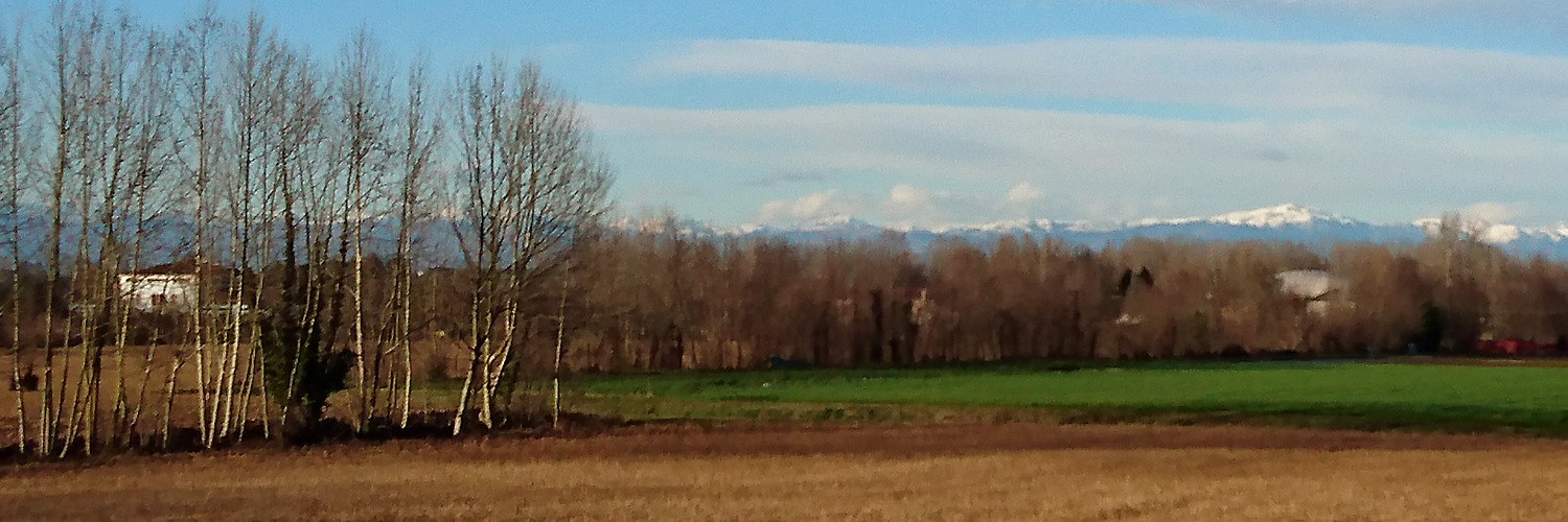 Paesaggio campestre