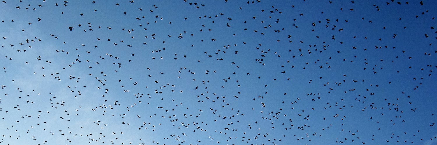 Volare 3: Voooolare, oh oh... Volare 3: Voooolare, oh oh...