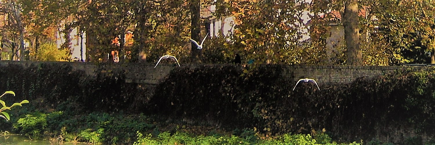 I tre tenori I tre tenori