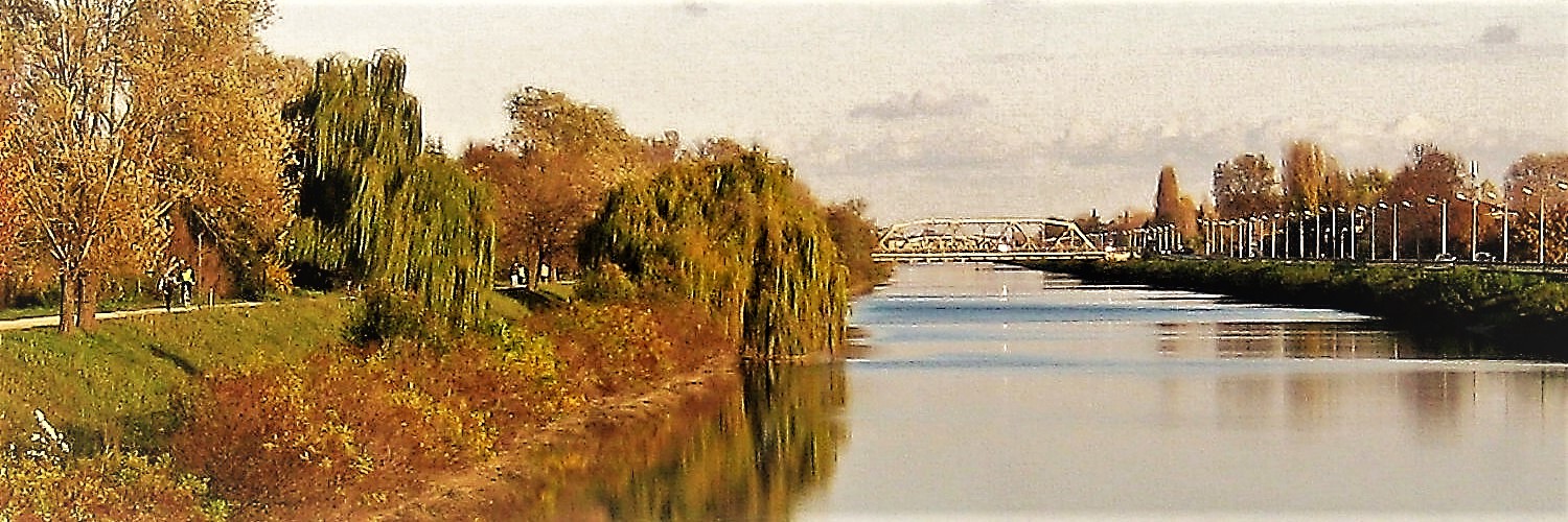 Sponde del fiume Sponde del fiume