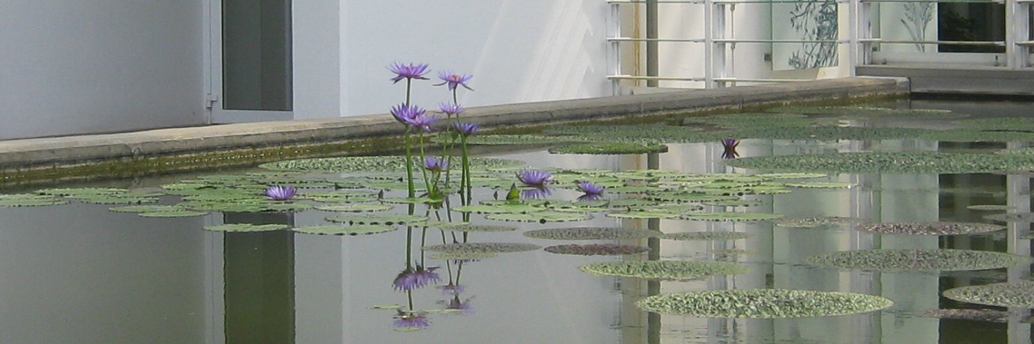 Riflessi di eleganza Riflessi di eleganza