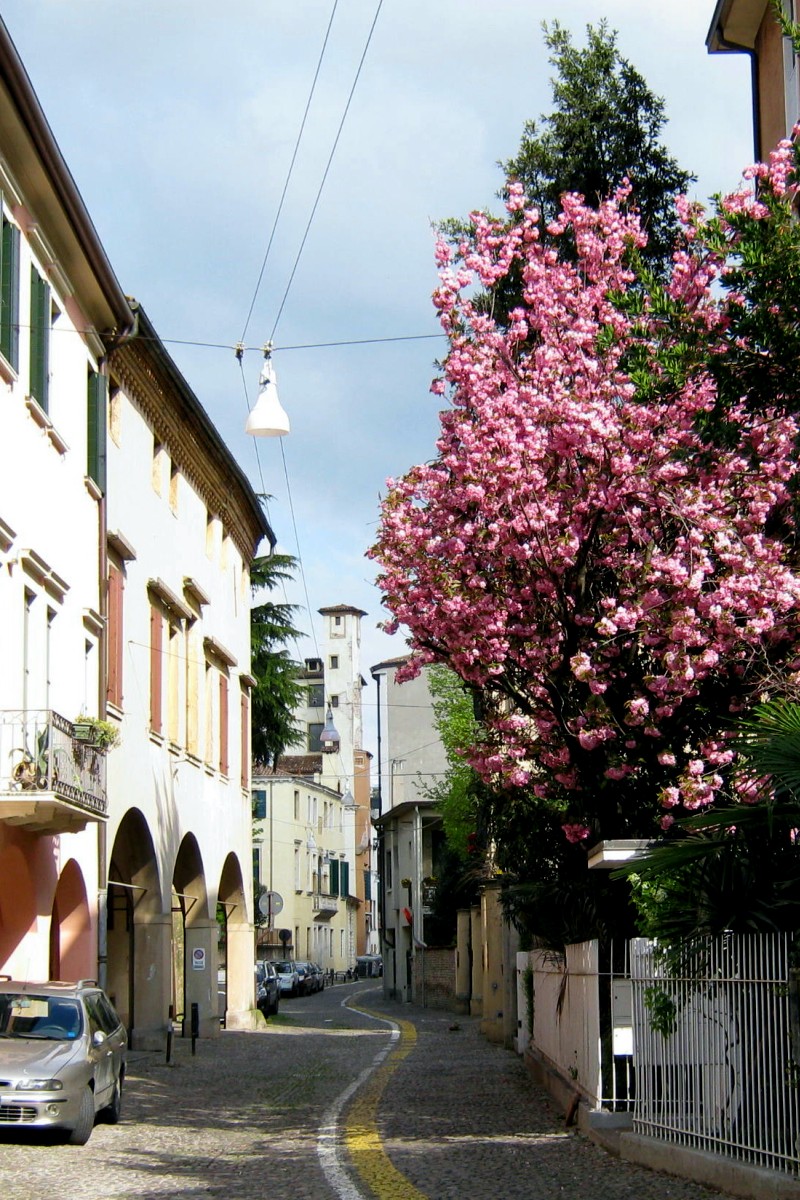 Primavera in via S. Eufemia Primavera in via S. Eufemia
