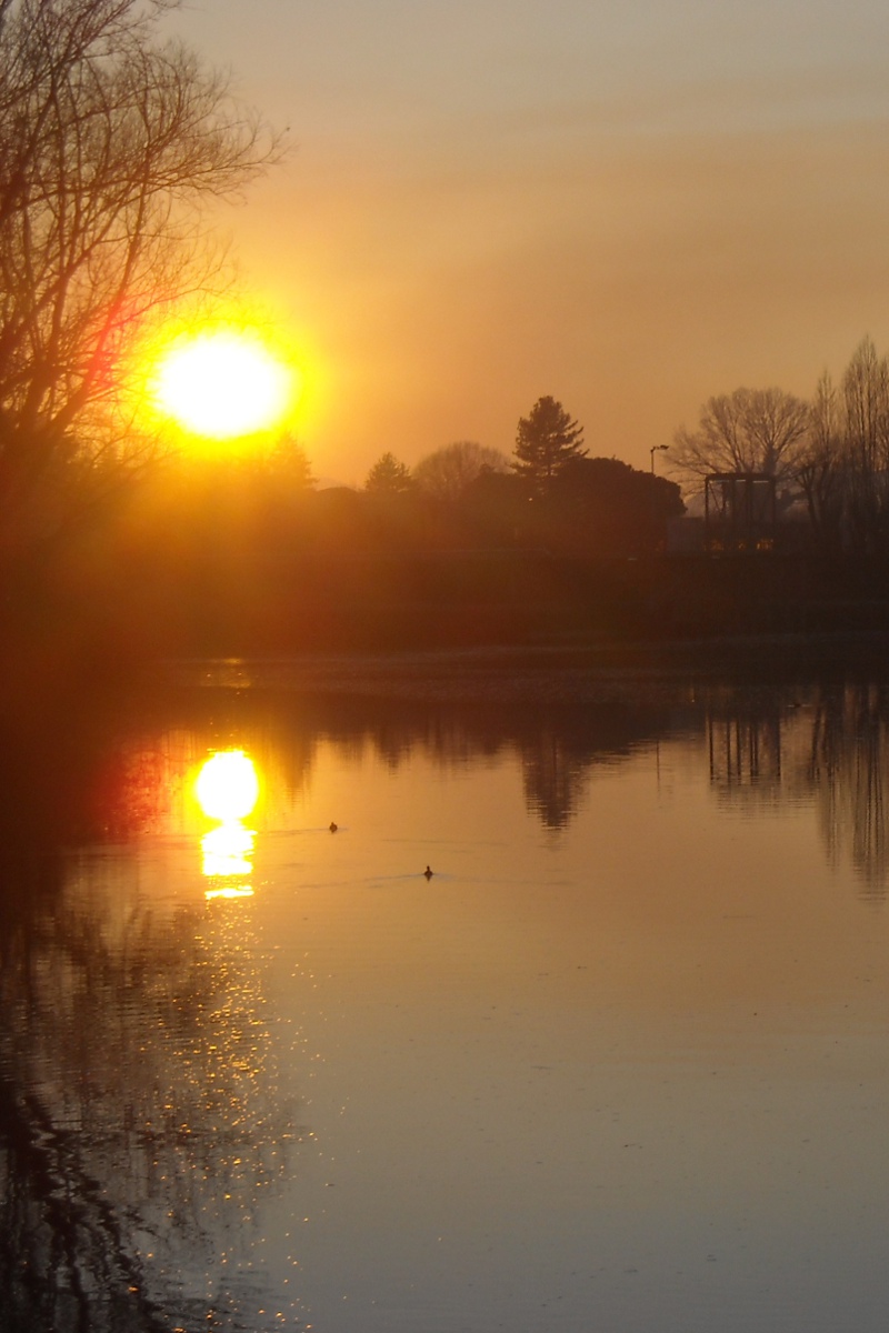 Nuotando sul fiume dorato