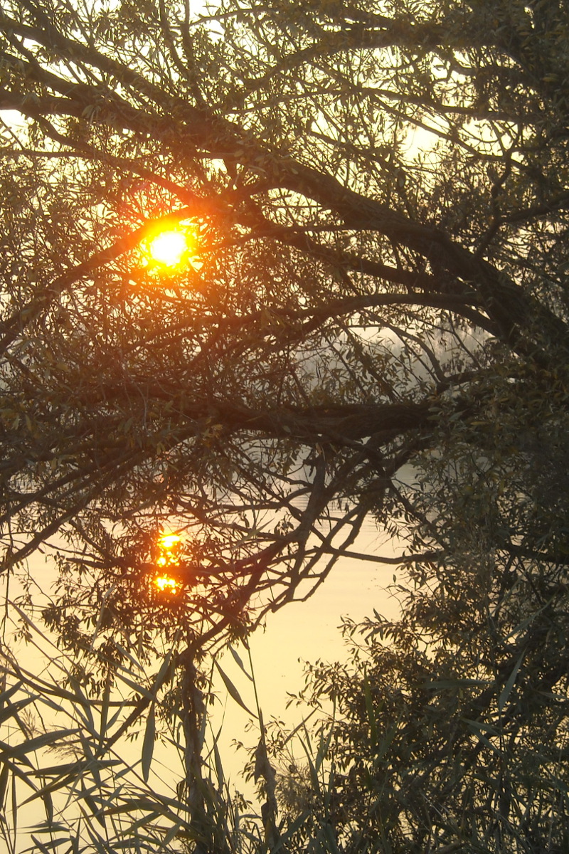 2015 Tramonto d'autunno 2015 Tramonto d'autunno