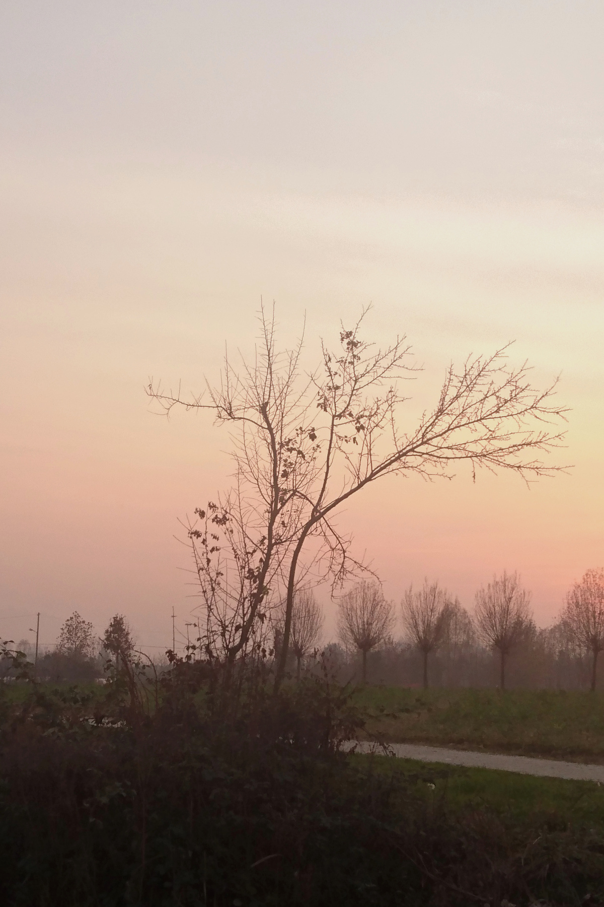 Un grido al cielo Un grido al cielo